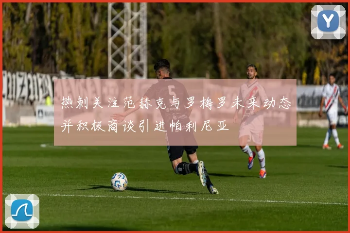 热刺关注范赫克与罗梅罗未来动态并积极商谈引进帕利尼亚